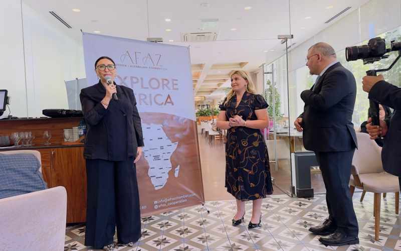 Zülfiyyə Nuriyeva Afrika ilə əməkdaşlıq müzakirələrində çıxış edib