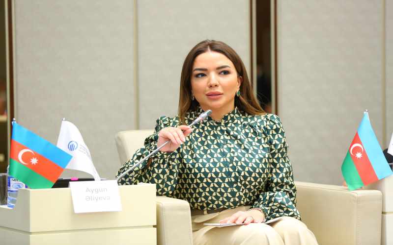 Aygün Əliyeva: Peşəkar informasiya siyasətiniz vətəndaş cəmiyyətinin inkişafına əhəmiyyətli töhfə verib