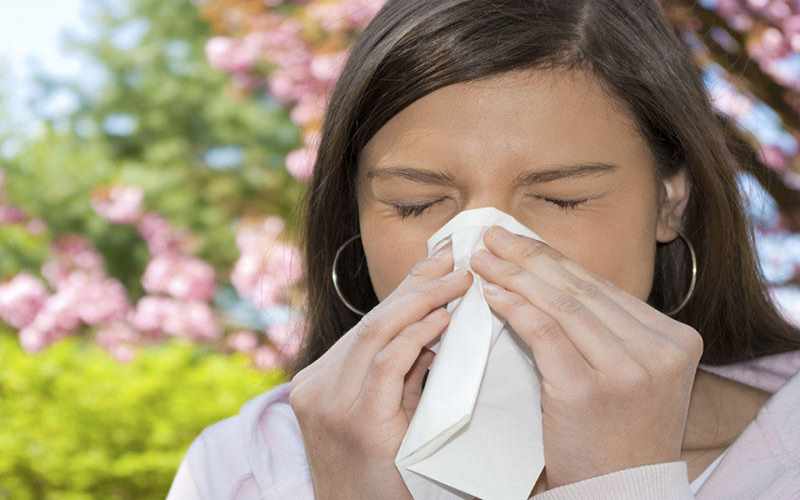 Allergik astmaya səbəb olan immunitet hüceyrələrini boğmağın yeni üsulu kəşf edildi