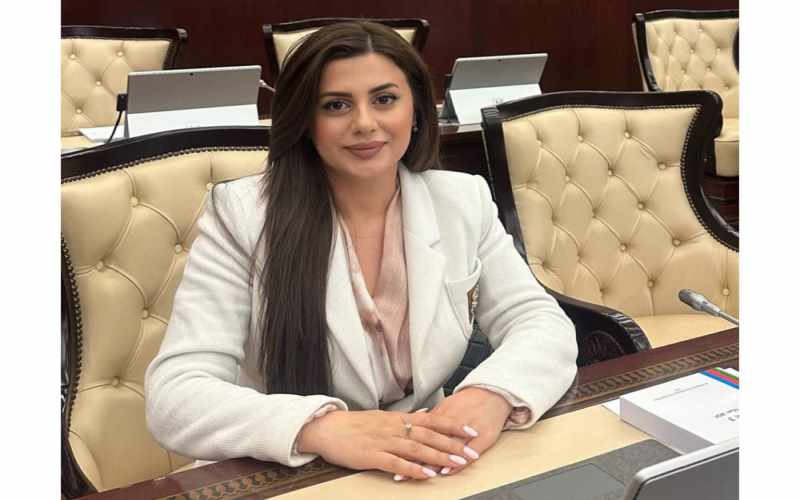 “Azərbaycan Türk Dövlətlərində strateji tərəfdaşlığını gücləndirir” - Pərvanə Vəliyeva