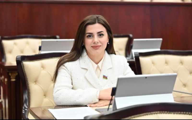 Azərbaycan-İran əlaqələri strateji yüksəliş yolunda: Deputat yazır