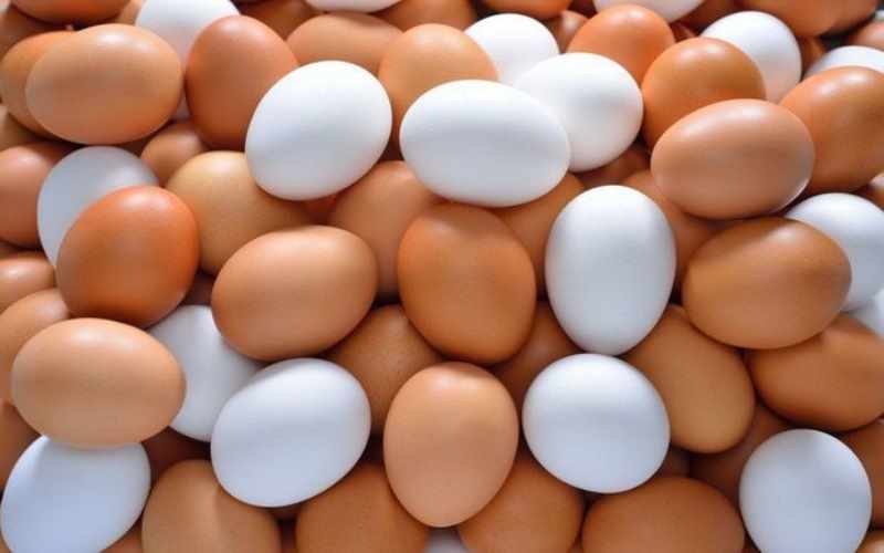 Azərbaycanda broyler yumurtaları bahalaşdı 
