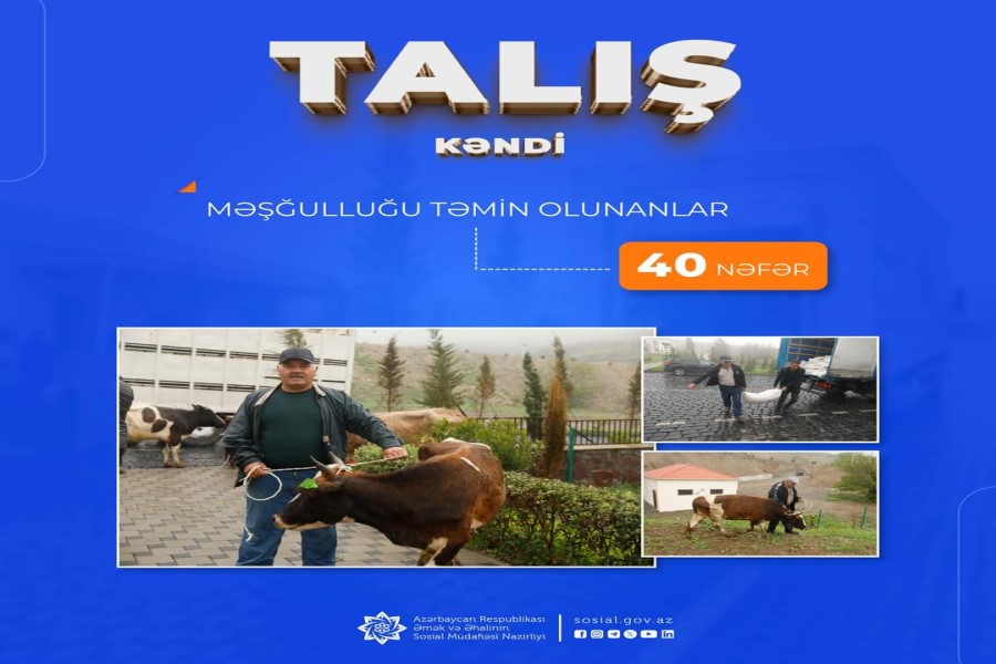 Talış kəndinə köçürülən sakinlərdən artıq 40 nəfər şəxsin məşğulluğu təmin olunub