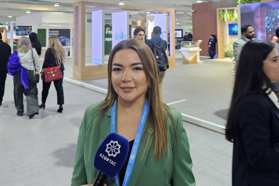 COP29 günlərində 10 minə yaxın müxtəlif QHT təmsilçisinin Azərbaycanda qonaq olması gözlənilir