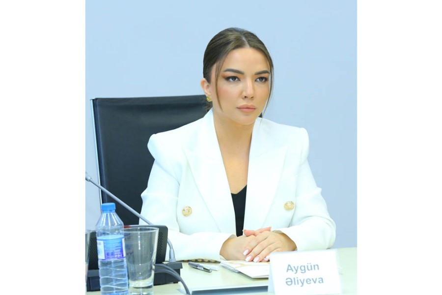 Aygün Əliyeva: “Agentliyin məsul olduğu tapşırıqların icrası 97.3%-ə çatıb”