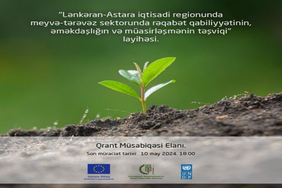 Lənkəran-Astara iqtisadi rayonunda qrant müsabiqəsi elan edilib