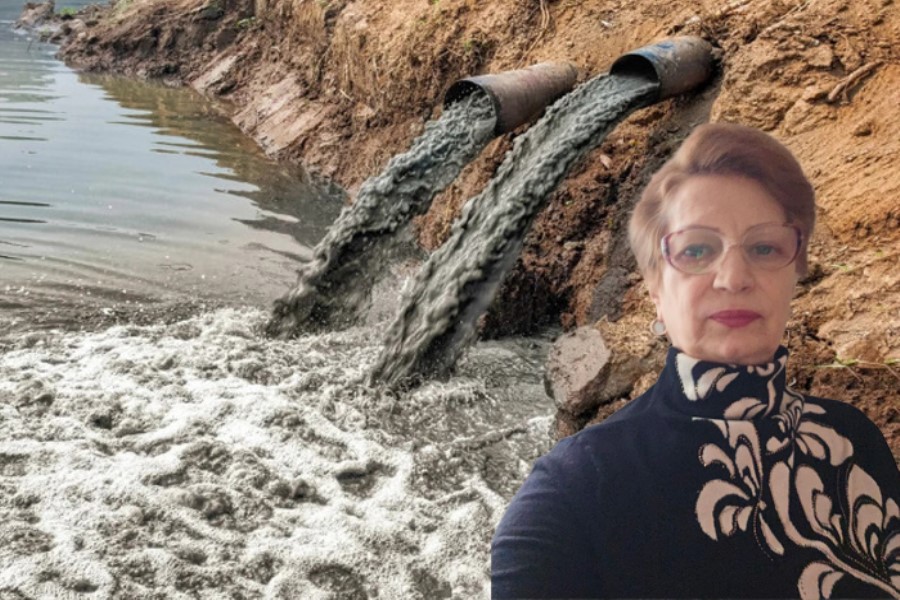 QHT sədri dənizlərin çirklənməsi, ciddi ekoloji problemlər və tədbirlərdən danışdı