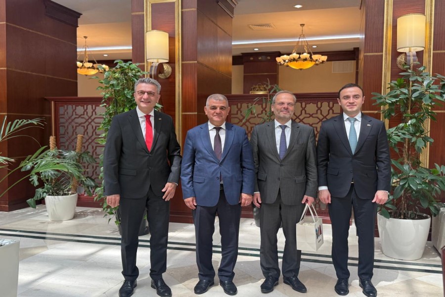 Milli Məclisdə Almaniya nümayəndə heyəti ilə görüş olub