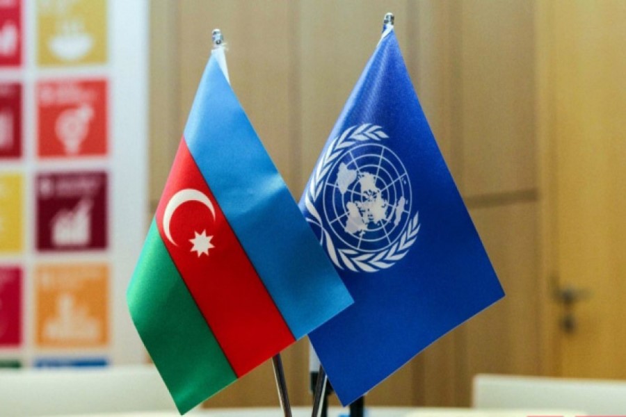ECOSOC yanında məsləhətçi statuslu QHT-lər üçün Üçüncü Komitə üzrə brifinq keçirilib