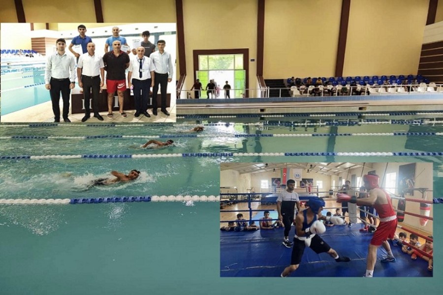 Masallıda üzgüçülük və boks üzrə yarışlar keçirilib