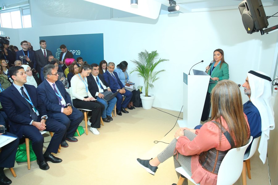 NGOs from "Troika" countries hold joint forum on climate finance at COP29