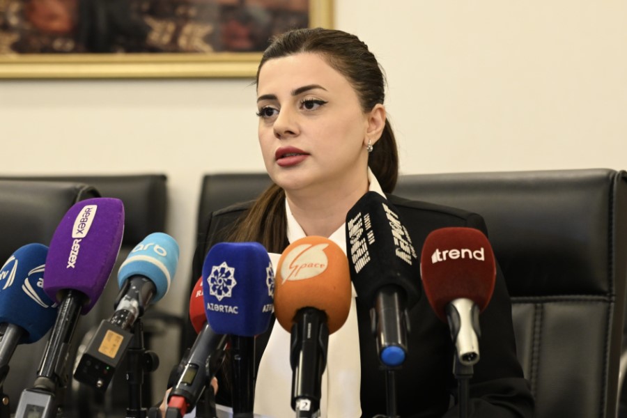 Pərvanə Vəliyeva: Bu il Qərbi Azərbaycanla bağlı 51 layihə QHT-lər tərəfindən icra olunacaq