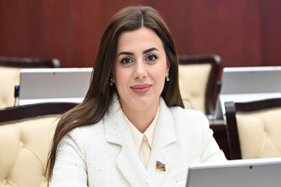 ABŞ Cənubi Qafqazda mövqeyini gücləndirir - DEPUTAT