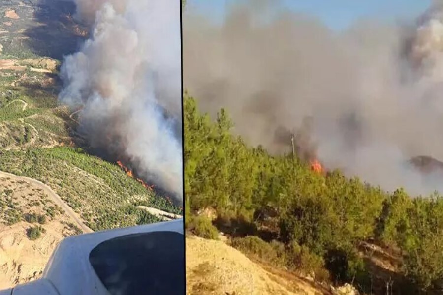Türkiyədə meşə yanğını baş verib - FOTO