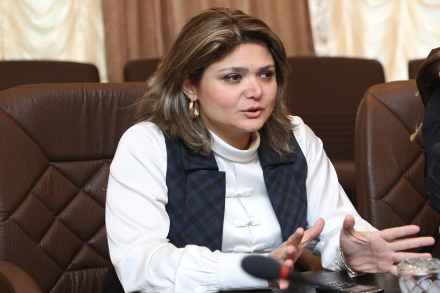 Vüsalə Hüseynli: “2026-cı ildə daha çox innovativ layihələr icra edəcəyik”