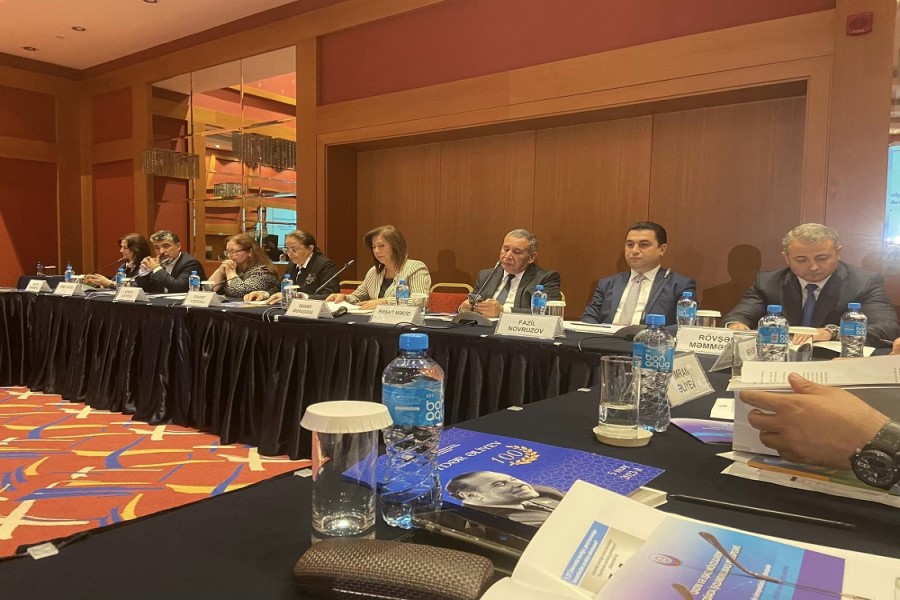 "Uşaqların informasiya təhlükəsizliyi: problemə kompleks yanaşma" mövzusunda konfrans - FOTO