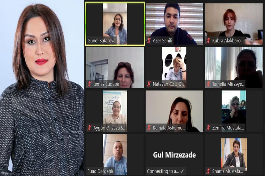 Günel Səfərova “Ailə, qadın və uşaq məsələləri” sahəsində çalışan bəzi QHT-lərlə görüş keçirib