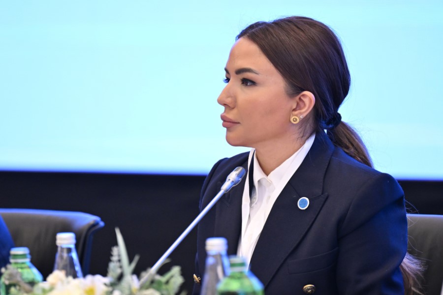 Aygün Əliyeva: Yerli QHT-lərin beynəlxalq layihələrdə fəal iştirakını sistemli şəkildə dəstəkləyirik