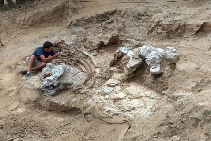 Keçmişə aid "Titan" dinozavrı tapılıb