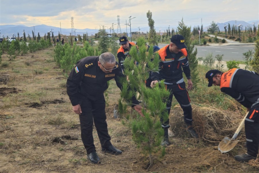 FHN Ağdam şəhərində ağacəkmə aksiyası keçirib - FOTOLAR