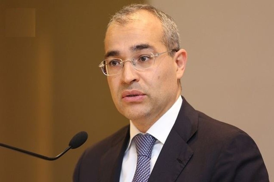 Daha bir qurum qrant verəcək - Nazirdən açıqlama