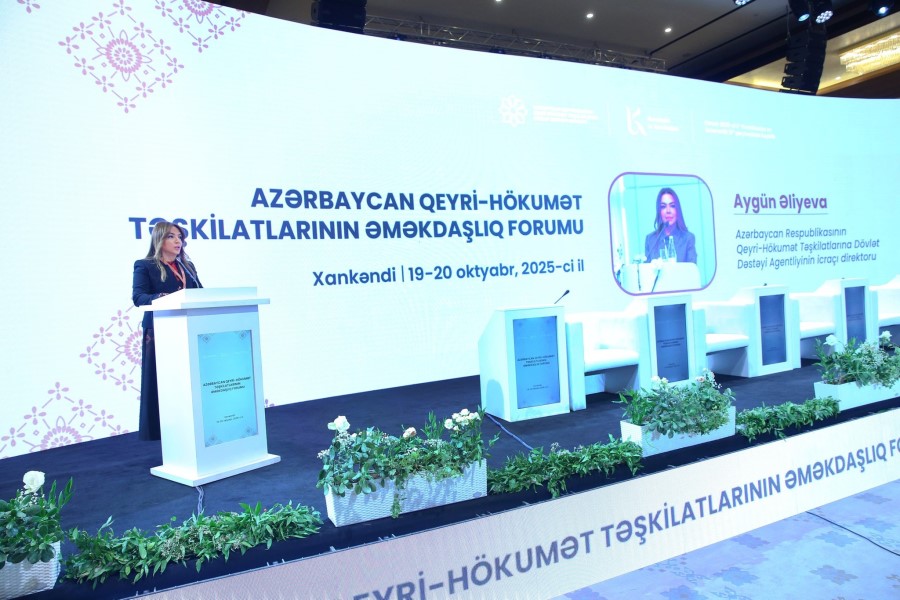 Agentlik 19 dövlət proqramı üzrə 67 tapşırığın icrasını 97 faiz nəticə ilə yekunlaşdırıb - AYGÜN ƏLİYEVA