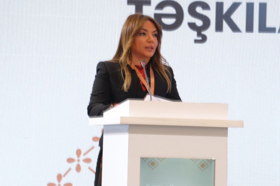 Aygün Əliyeva: Qərbi Azərbaycanlıların Qayıdış Konsepsiyası ilə bağlı 100-dən çox layihə maliyyələşdirilib