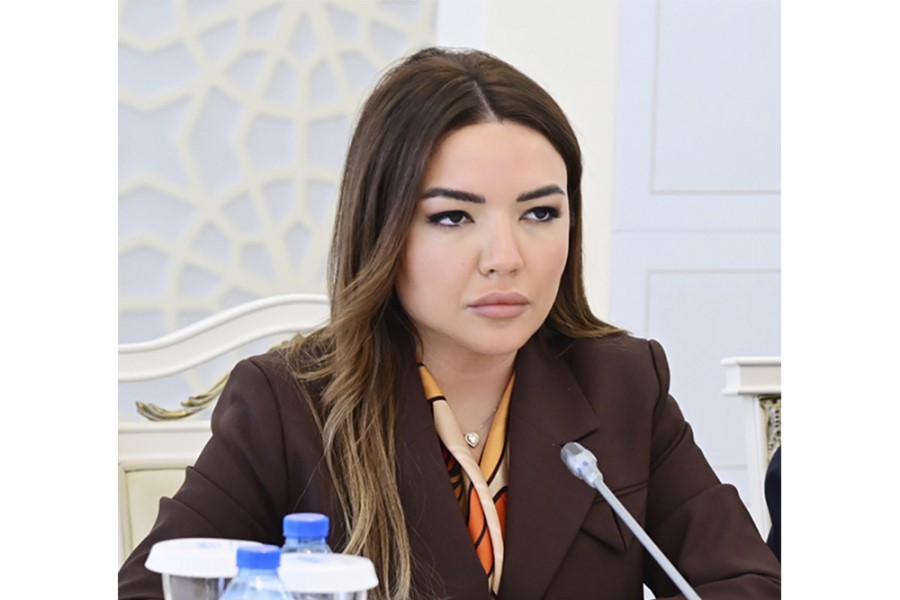 Aygün Əliyeva: "Qərbi Azərbaycana qayıdış prosesində QHT-lərin fəaliyyəti əhəmiyyətli rol oynayır"