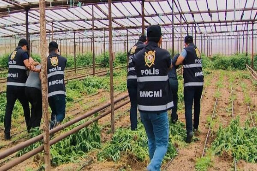 Laçında polislərlə hərbçilər birgə əməliyyat keçirdi