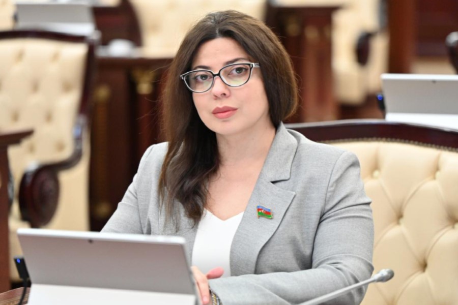 Fransanın qərəzli qətnaməsi və yaxud Azərbaycan sülh prosesində təzyiqlərə boyun əymir ŞƏRH