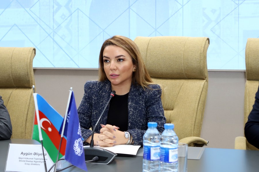 Aygün Əliyeva: Dövlət orqanları ilə bərabər, qeyri dövlət aktorları, vətəndaş cəmiyyəti, media nümayəndələri, hər birimiz bir nöqtəyə vurmalıyıq”