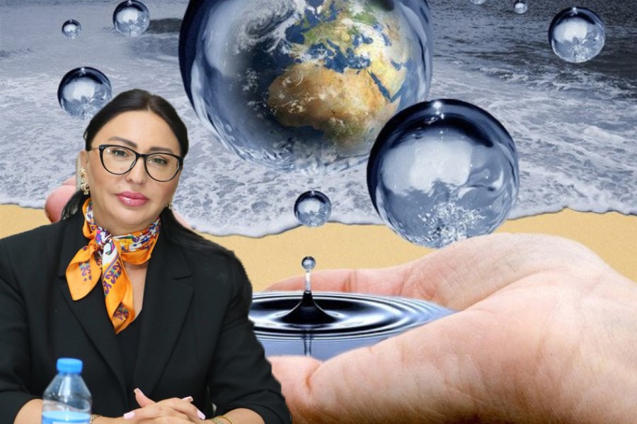 "Su təminatı artarsa, istehsal və ixrac da genişlənər" - Zülfiyyə Nuriyeva