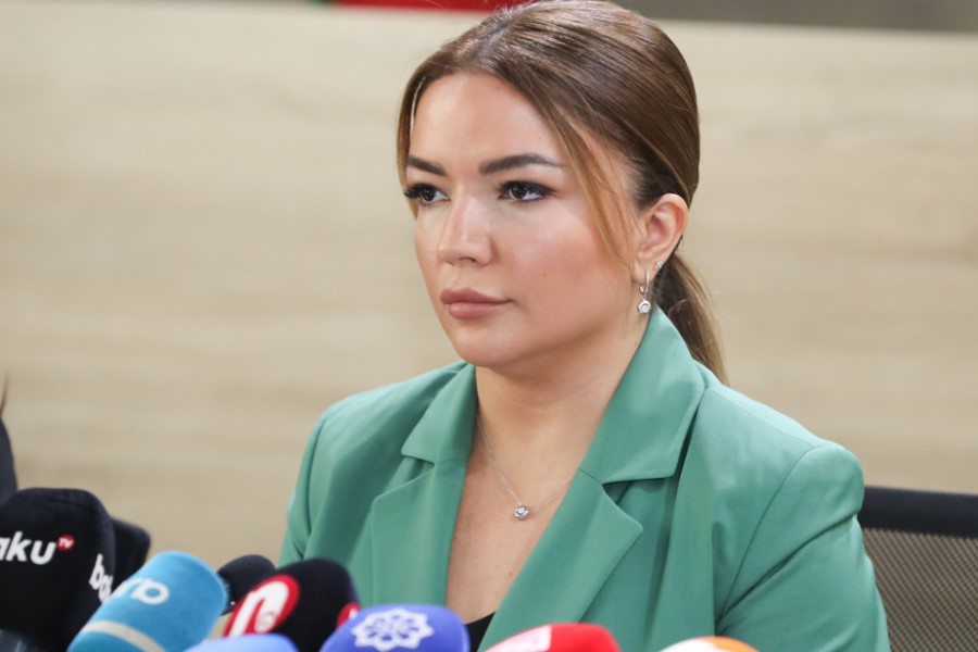 Aygün Əliyeva: Milli prioritetlərdən biri də ekoloji problemlərin həlli məsələsidir