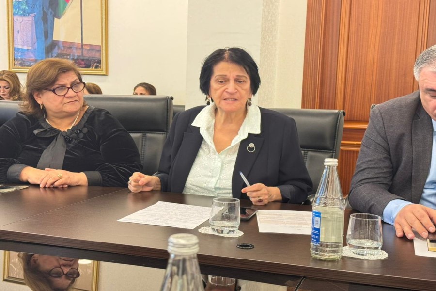 İradə Rizazadə: QHT-lər itkin ailələri ilə daha fəal işləməlidir