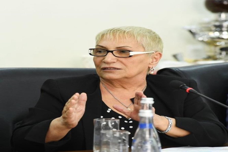 Mirvari Qəhrəmanlı: “QHT-lər artıq proseslərə əvvəlki kimi cəlb olunmur”