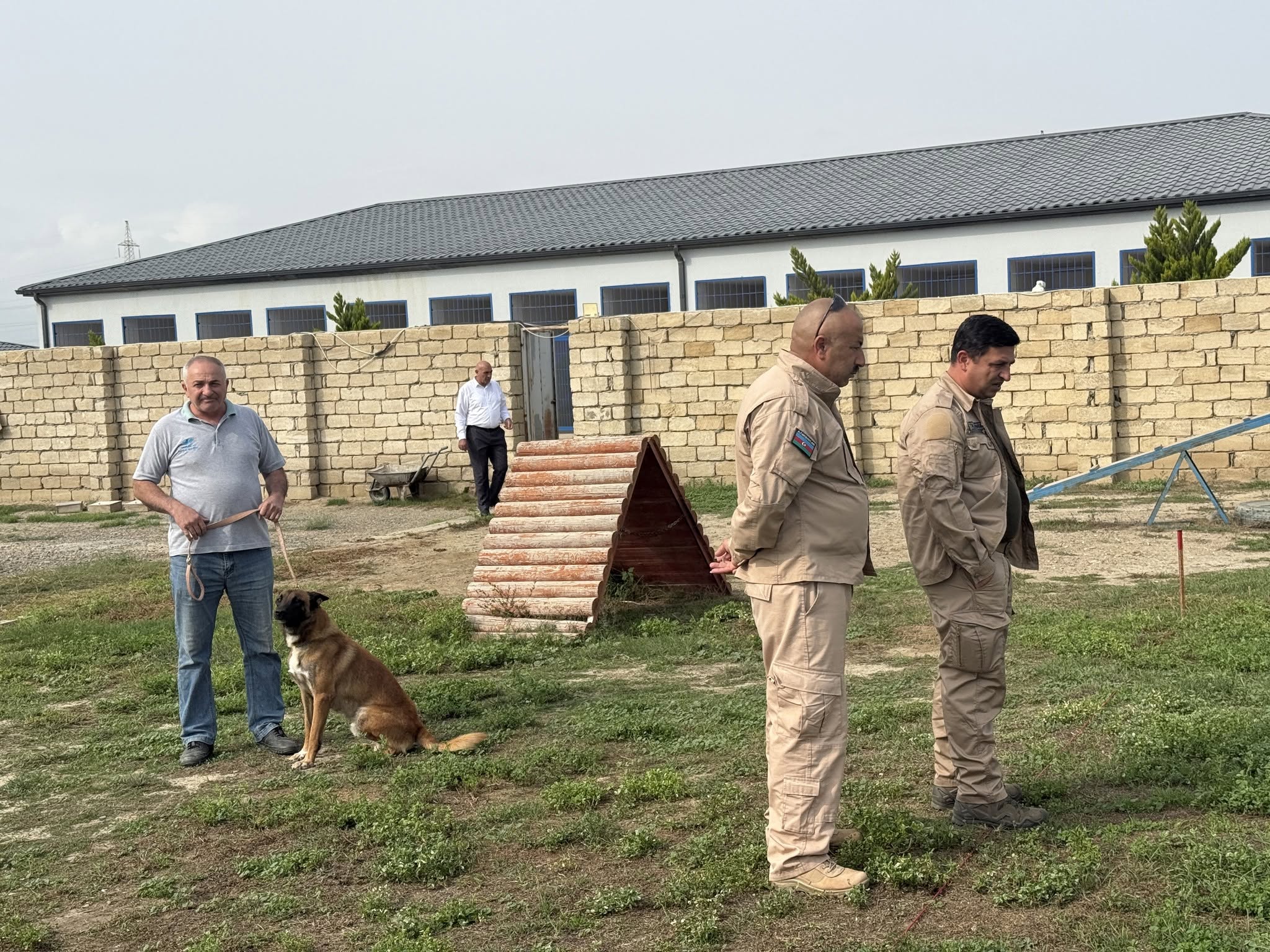 “Mina axtaran itlər vasitəsilə minaların təmizlənməsinin sürətləndirilməsi” layihəsinin icrası davam edir