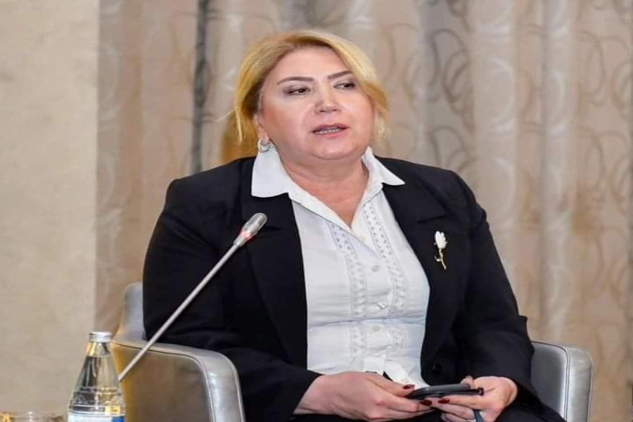 Fransanın müstəmləkə siyasətini durdurmaq zamanıdır - Məleykə Əlizadə