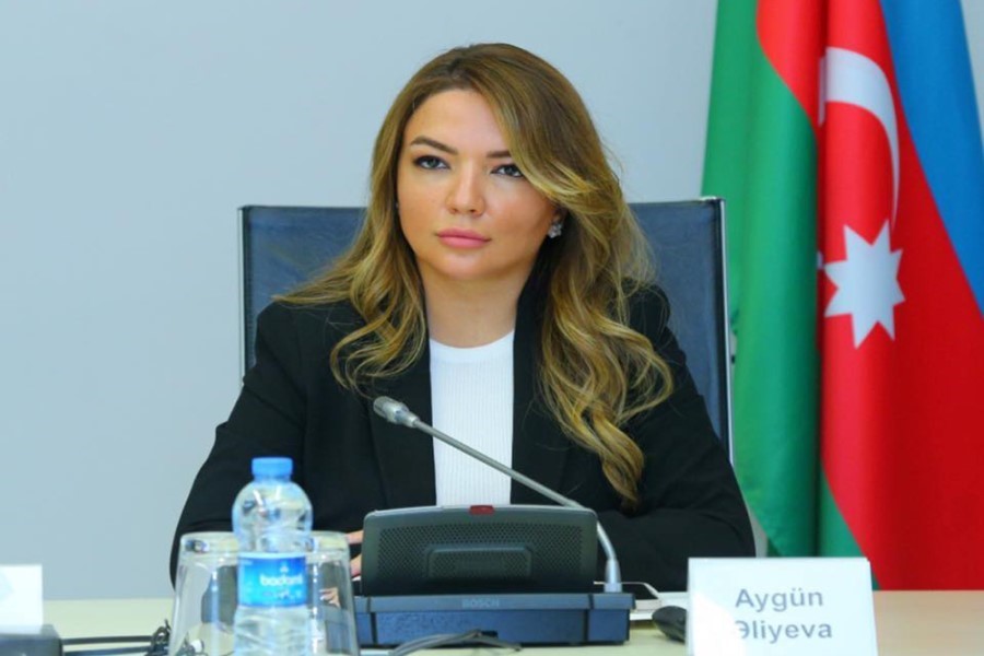 Aygün Əliyeva: Qarşıya qoyulan hədəflərin öhdəsindən gələcəyik!