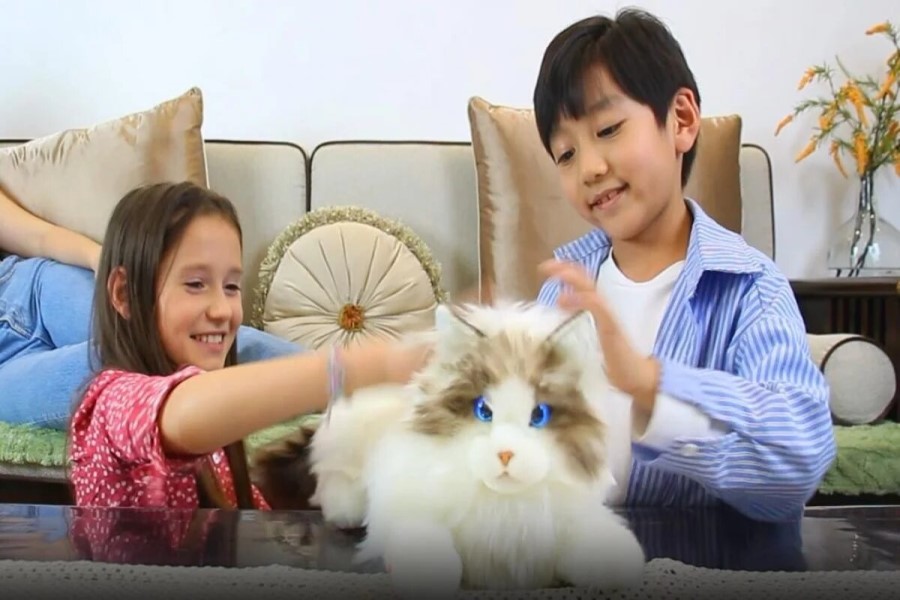 Dünyanın ilk robot pişiyi Çində yaradılıb