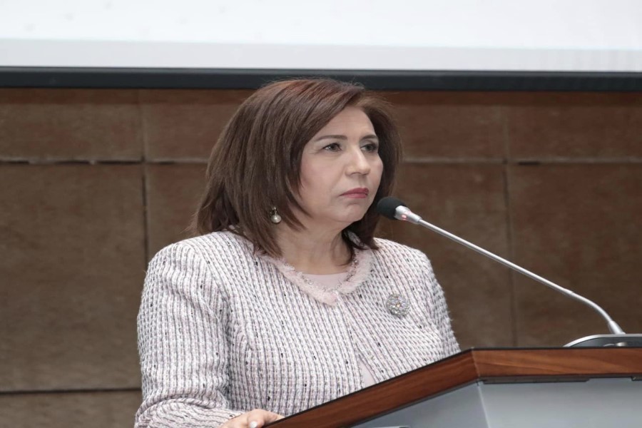 Bahar Muradova: Problemləri, çətinlikləri birlikdə aradan qaldırmağa çalışacağıq