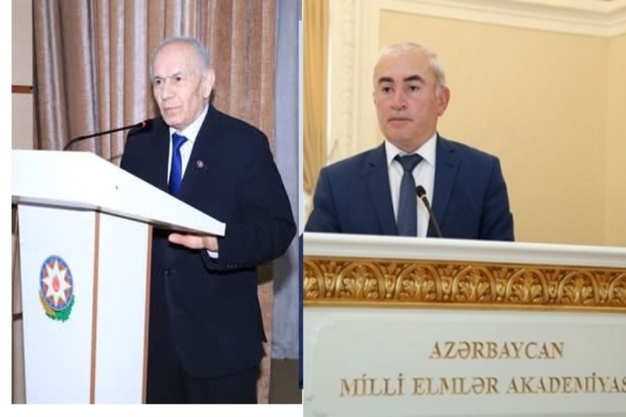 Prezident Masallıdan olan alimləri təltif edib