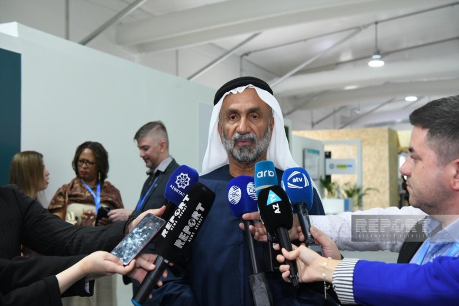 Al Jarwan: Protection of planet is impossible without NGO contributions