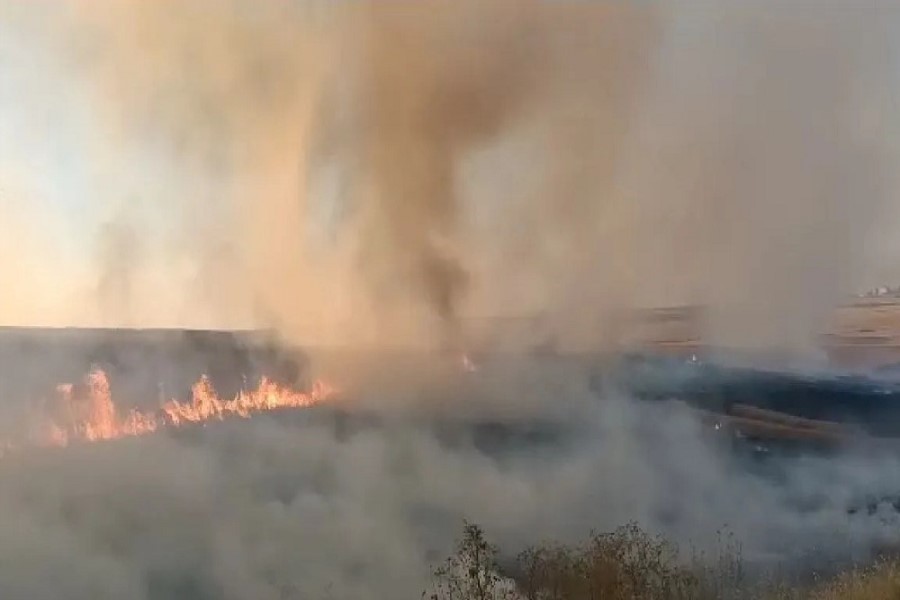 Siqaret kötüyü 20 hektar arpa sahəsini külə çevirdi