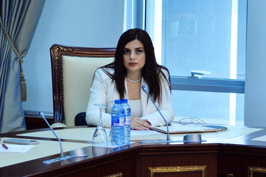 Pərvanə Vəliyeva: İqlim dəyişikliyi səhiyyə sistemlərinə ciddi təhdiddir