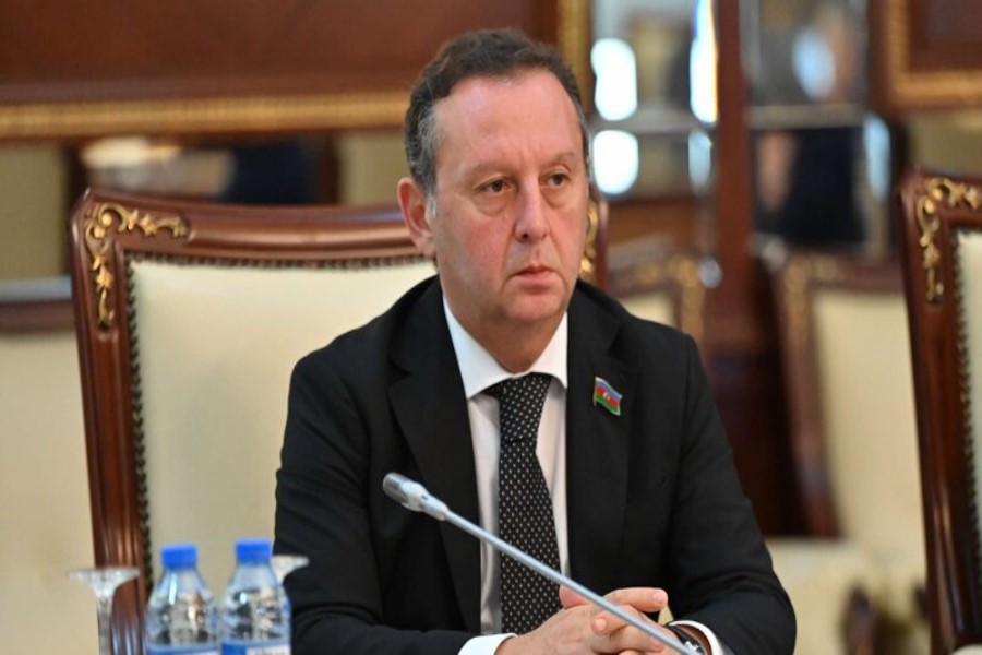 Deputat: Rəqəmsal iqtisadiyyat rəqabət qabiliyyətini artıracaq