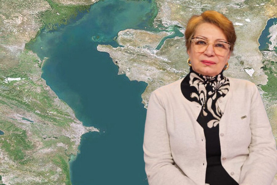 "Xəzər dənizinin ekoloji problemləri sosial-iqtisadi inkişafı təhlükə altına alır" - İradə Həsənova