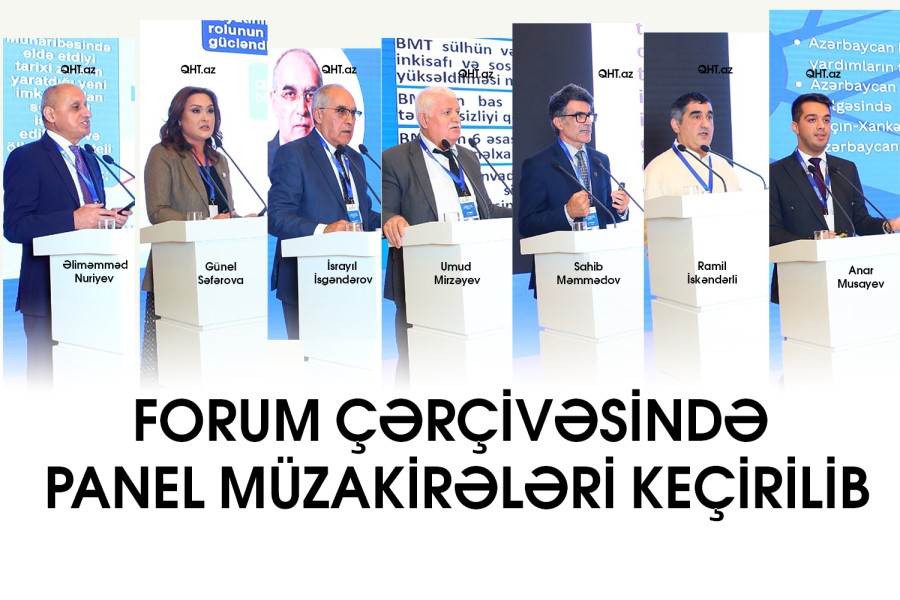 Forum çərçivəsində Panel müzakirələri keçirilib - FOTOLAR