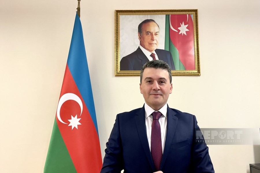 Almaniyada yaşayan azərbaycanlıların iş sahələri: "Baş həkim və şöbə rəhbəri olan mütəxəssislərimiz var" - SƏFİRLƏ MÜSAHİBƏ
