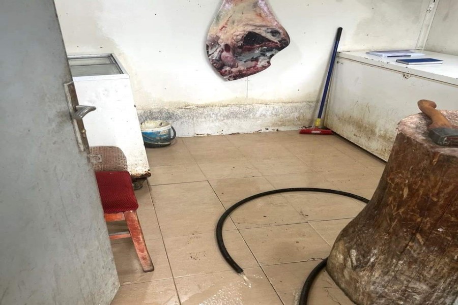 Masallıda nöqsanlar aşkarlanan ət kəsimi məntəqəsinin fəaliyyəti məhdudlaşdırılıb