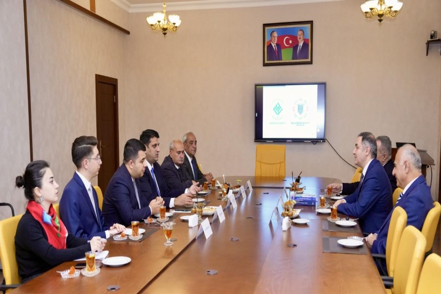 Hüquq və İnsan Haqları İnstitutu Naxçıvan Dövlət Universitetində təqdimat keçirib - FOTOLAR